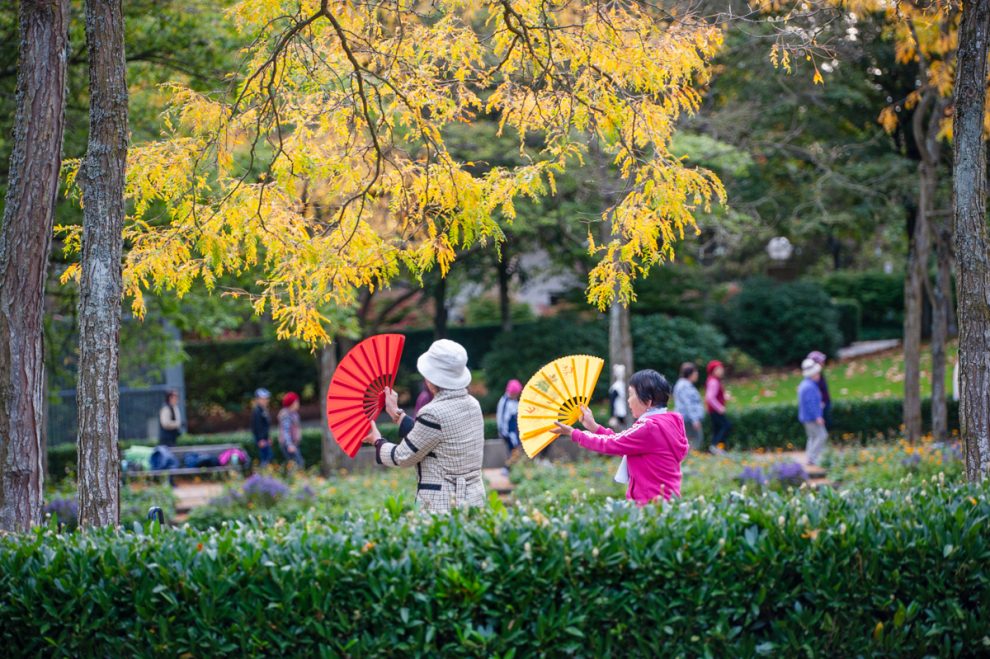 Chinese fan dancers in the Civic Square, next to the Bob Prittie Metrotown Branch.